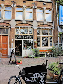 Amsterdam / Atelier rue verte / Wildernis 1 /