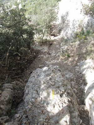 SERRA DEL MONTSANT LA MORERA DEL MONTSANT - GRAU DE LA GRALLERA - CLOT DEL CIRÉ - GRAU DE SALFORES - CARTOIXA D'ESCALADEI - LA MORERA DEL MONTSANT, Grau dels Salfores al Montsant