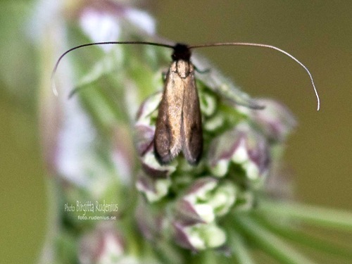 macro_20110515_monday1a