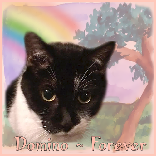 Domino OTRB by Ann