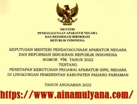 Rincian Formasi Kebutuhan ASN PPPK Kabupaten Padang Pariaman Tahun 2022 - www.ainamulyana.com