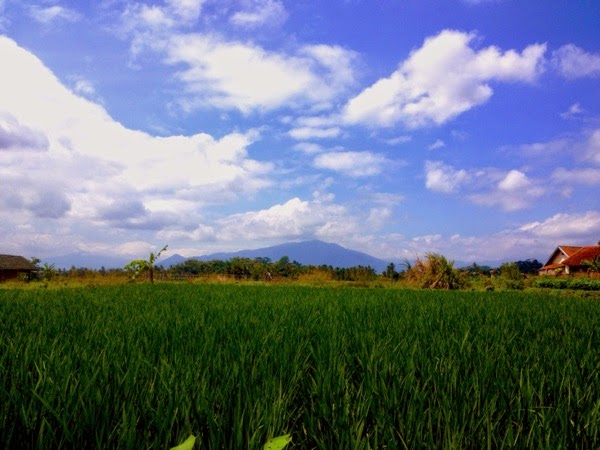 Karya Fotografi Berkualitas