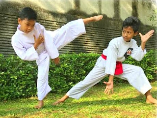 Mengungkap Kelas Khusus yang Dipertandingkan di Kejuaraan Nasional Silat Perisai Diri Antar Pelajar