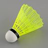 https://www.educaplay.com/learning-resources/4431775-badminton.html