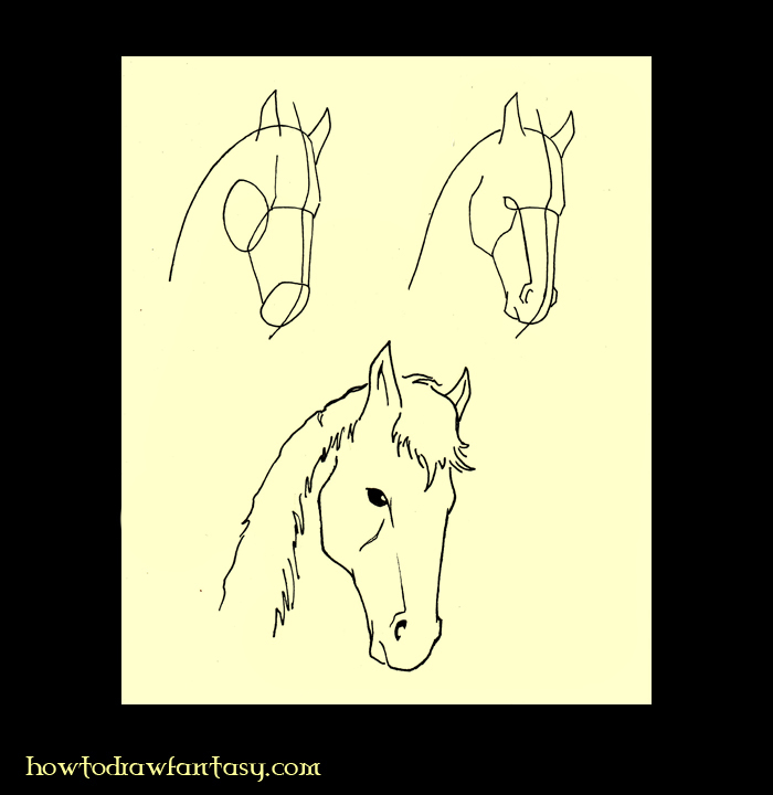 draw horse. How to draw a horse head