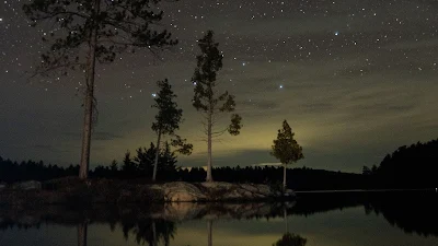 Papel de Parede Noite Estrelada, Lago, Árvores