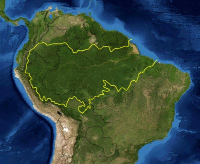 Trabalho publicado na Nature tem como um dos autores o professor Silvio Ferraz, do Departamento de Ciências Florestais da Esalq   Amazônia – Foto: Wikimedia Commons Esforços internacionais visando à conservação de espécies das florestas tropicais irão falhar se não levarem em consideração o controle da exploração madeireira ilegal, de incêndios florestais e da fragmentação de áreas remanescentes. Esta é a conclusão de um estudo inovador, que acaba de ser publicado na Nature, a principal revista científica internacional.  O estudo Anthropogenic disturbance can be as important as deforestation in driving tropical biodiversity loss (Perturbação antropogênica pode ser tão importante quanto o desmatamento na condução de perda de biodiversidade tropical) mediu o impacto geral das perturbações florestais mais comuns – o que inclui exploração madeireira, incêndios e fragmentação de florestas remanescentes – em 1.538 espécies de árvores, 460 de aves e 156 de besouros encontradas na Amazônia paraense.  Pela primeira vez, pesquisadores de 18 instituições internacionais, dentre as quais 11 brasileiras, foram capazes de comparar a perda de espécies causada por perturbações humanas com aquelas resultantes da perda de hábitat pelo desmatamento.   Amazônia – Foto: Wikimedia Commons E o resultado desafia a atual concepção das estratégias de conservação, na qual prevalece o foco no combate ao desflorestamento: os cientistas demonstraram que, para a floresta tropical, os efeitos das perturbações causadas por atividades humanas resultam em perda de biodiversidade tão ostensiva quanto a causada pelo desmatamento.  Uma das principais pesquisadoras do projeto, Joice Ferreira, da Embrapa Amazônia Oriental, diz: “Conseguimos oferecer evidências convincentes de que as iniciativas de conservação amazônica precisam considerar as perturbações florestais e o desmatamento. Sem ações urgentes, a expansão da exploração ilegal de madeira e a ocorrência cada vez maior de incêndios causados pelo homem irão resultar em áreas de florestas tropicais cada vez mais degradadas, conservando apenas uma pequena fração da exuberante diversidade que já abrigaram.”  Quando analisado em conjunto, o efeito das atividades humanas resultantes em perturbações florestais no Pará é equivalente a uma perda adicional de mais de 139.000 quilômetros quadrados (km2) de floresta pristina (sem intervenção humana) e correspondente a todo o desmatamento no Estado desde 1988, ano que inaugurou o monitoramento oficial.  O pesquisador sênior do projeto, Toby Gardner, do Instituto Ambiental de Estocolmo (SEI), destaca: “As florestas tropicais são um dos mais valiosos tesouros biológicos do planeta. Ao focar exclusivamente as extensões de floresta remanescentes, sem levar em conta o estado de saúde dessas áreas, as atuais iniciativas de conservação estão colocando em perigo tal riqueza”.  Espécies raras são as mais ameaçadas   Foto: Wikimedia Commons Os cientistas também descobriram que espécies sob o risco máximo de extinção foram as mais atingidas pelas perturbações causadas por atividade humana.  Ima Vieira, pesquisadora sênior do Museu Paraense Emílio Goeldi e uma das colaboradoras do projeto, diz: “O estado do Pará abriga mais de 10% das espécies de aves do planeta, muitas das quais endêmicas. Nossos estudos demonstram que são justamente estas espécies as que estão sofrendo o maior impacto da ação antrópica, pois elas não sobrevivem em ambientes com estes níveis de perturbação”.  É preciso ir além do combate ao desmatamento  Enquanto a redução do desmatamento é acertadamente o principal foco da maioria das estratégias de conservação em nações tropicais, a condição das florestas remanescentes não costuma ser avaliada ou mesmo controlada por políticas públicas.  “Ações imediatas são necessárias para combater as perturbações florestais em nações tropicais”, explica Silvio Ferraz, professor do Departamento de Ciências Florestais da Escola Superior de Agricultura Luiz de Queiroz (Esalq) da USP. “No caso do Brasil, a situação é ainda mais crítica, já que 40% dos remanescentes de florestas tropicais da Terra se encontram aqui”, completa o pesquisador, que integrou a equipe do estudo. Ainda que donos de terras na Amazônia brasileira sejam obrigados por lei a manter 80% da cobertura primária em suas propriedades, a nova pesquisa demonstra que, em paisagens nas quais a lei é cumprida, a metade do valor potencial de conservação já pode ter sido perdida.  “Estes resultados devem servir de alerta para a comunidade global”, afirma Jos Barlow, o principal autor do estudo. “O Brasil demonstrou uma liderança sem precedentes no combate ao desmatamento na última década. O mesmo nível de liderança é necessário agora para proteger a saúde das florestas restantes nos trópicos. Do contrário, décadas de esforço de conservação terão sido em vão.”   Foto: Wikimedia Commons  Infelizmente, a rica biodiversidade do Brasil está mais uma vez ameaçada por novas tentativas de mudanças no Código Florestal. Luiz Aragão, do Instituto Nacional de Pesquisas Espaciais, também integrou a equipe do estudo e destaca: “O Senado brasileiro está propondo uma nova lei que vai permitir aos produtores se valerem de florestas plantadas, como as monoculturas de eucalipto, para atingir a meta legal de cobertura florestal. Propostas como esta, que ignoram as condições das florestas em questão, podem acelerar a perda de biodiversidade tropical”. O estudo publicado é fruto da Rede Amazônia Sustentável (RAS), um consórcio de instituições brasileiras e estrangeiras, coordenado pela Embrapa Amazônia Oriental, Museu Paraense Emílio Goeldi, Universidade de Lancaster (Reino Unido) e Instituto Ambiental de Estocolmo (Suécia). A RAS é também parte do INCT Biodiversidade e Uso da Terra na Amazônia.  Fonte: Jornal USP