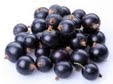  Acai Berry Diet