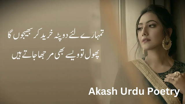 Shero Shayari Urdu