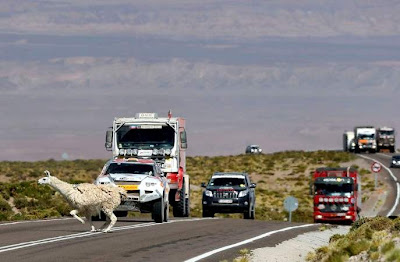 Mobil dan Truk, Reli Dakar 2013