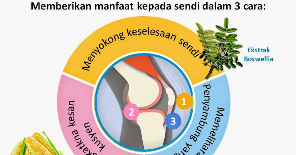 Ubat Sakit Lutut Cara Tradisional - Descar 6
