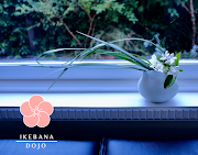 Ikebana Aesthetics Program is not just for Beginners