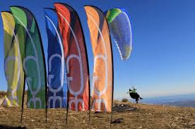 Beach flags 