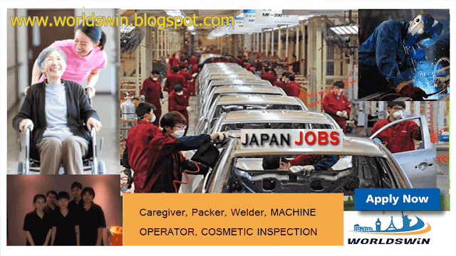 How to apply for job in japan as a foreigner  with visa requirements