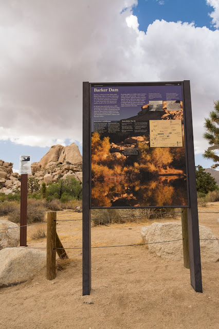 Barker Dam Trail, Joshua Tree National Park