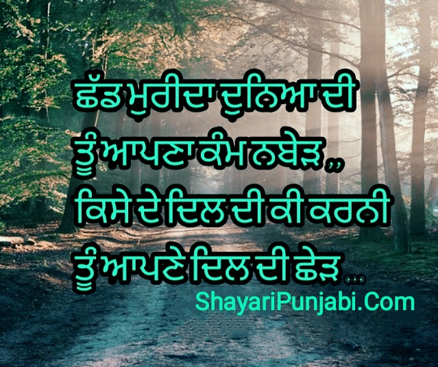 61+ Best Punjabi Shayari (2024) For Instagram Whatsapp Facebook  - Shayari Punjabi