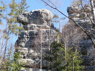 Sudety, Góry Stołowe, Białe Skały, Skała Puchacza, Skalne Grzyby