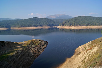 Transalpina  (DN 67C)