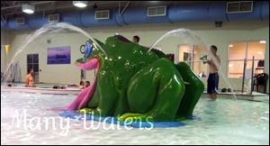 Many Waters Pool frog