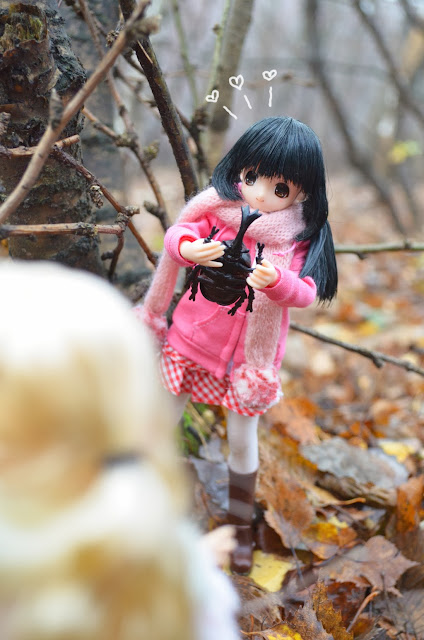 azone pureneemo chisa ピュアニーモ