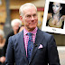 Tim Gunn On Kim Kardashian's Selfie Book: "I Feel My IQ Is Plummeting" (VIDEO)