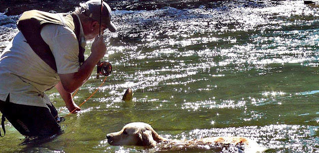 Fly fishing on the Ammer