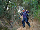 Tram final de la baixada de la Serra de Les Colomeres