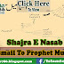 Shajra E Nasab Hazrat Ismail (A.S) To Holy Prophet Muhammad (P.B.U.H)