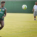 Botafogo encaminha contratações de Almir e Daniel Carvalho, segundo blog