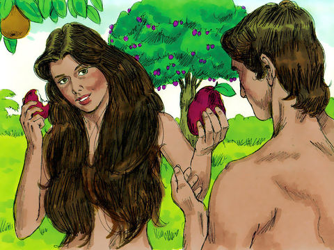 adam and eve story