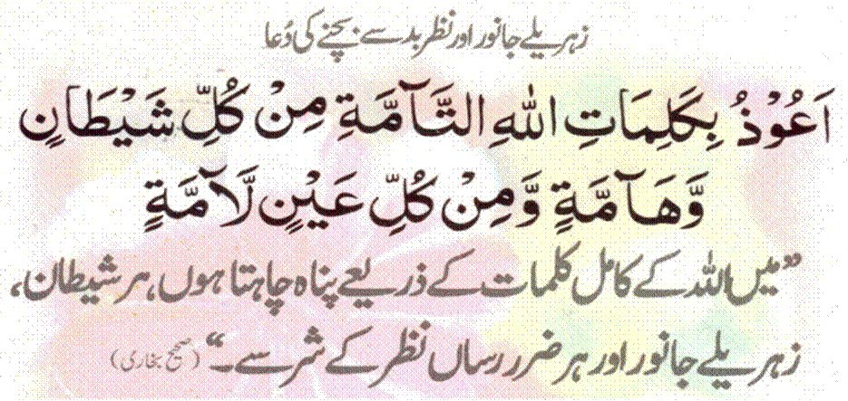 Tamana Islami Islamic Dua S With Urdu Translation