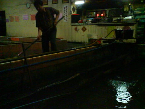 DSC00955.JPG