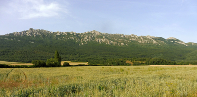 Sierra de Toloño vista desde los campos de Lagrán