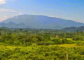 Rizal (Palawan)