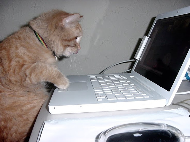 Koma is a Mac Addict by Pixteca MX【ツ】 from flickr (CC-BY)