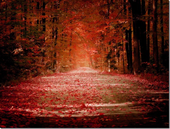 Autumn_by_sican