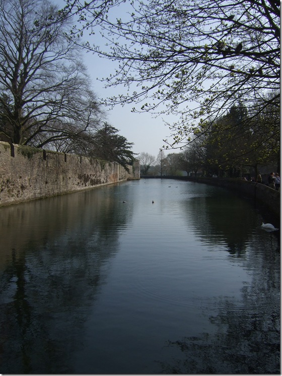 DSCF2026