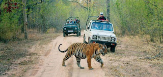 Ranthambore