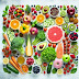 Elimination Diet Guide: How to Identify Food Sensitivities and Improve Your Health