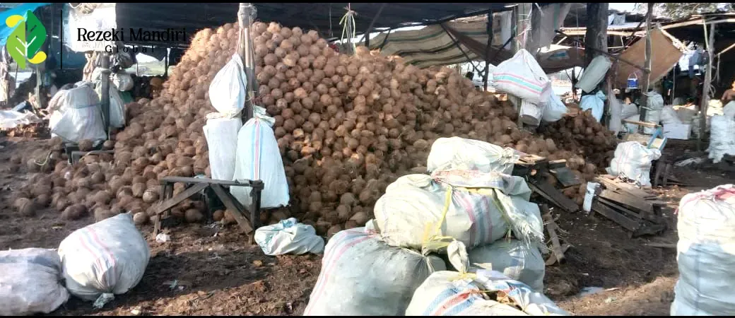 Fresh Coconut