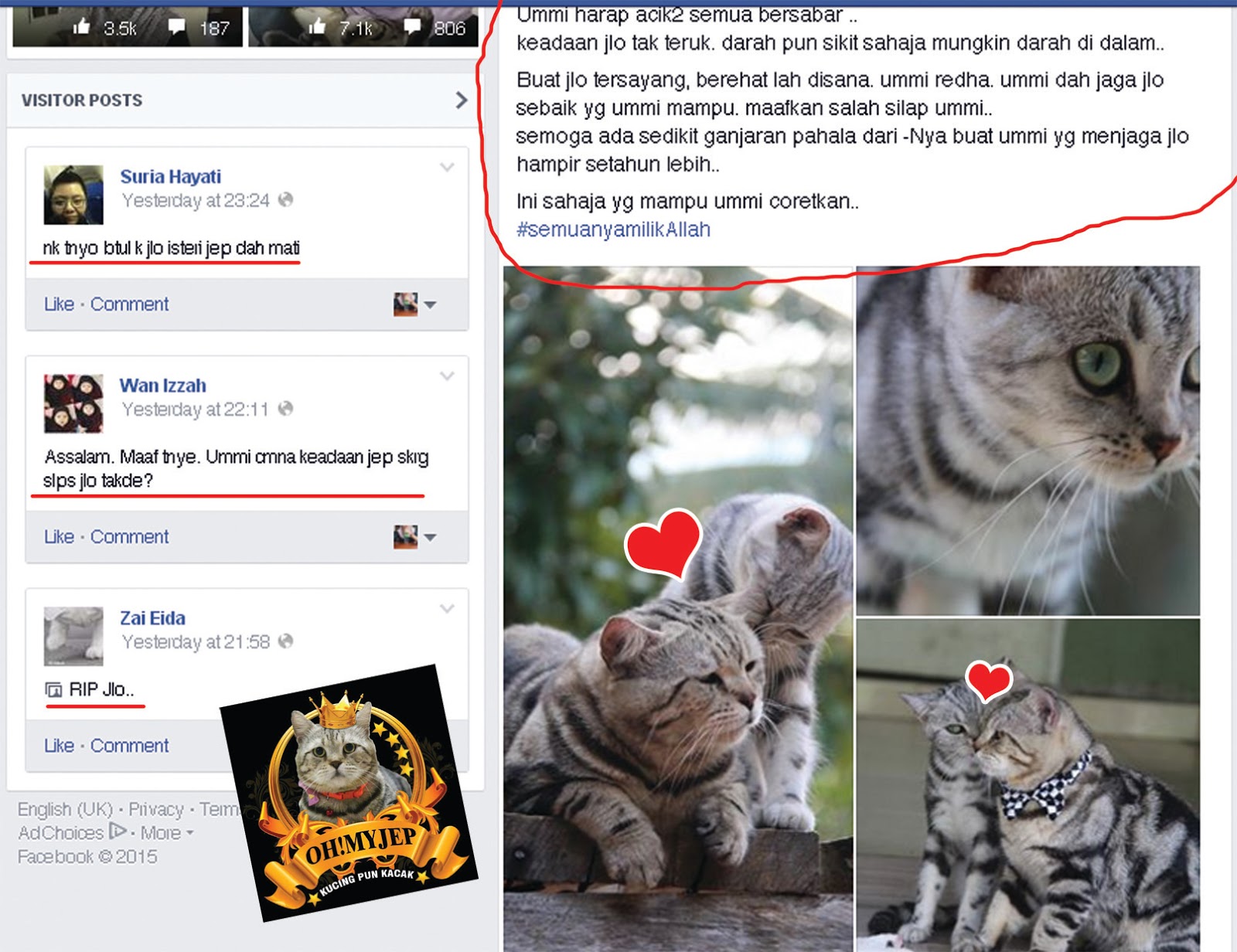 Kawasan Lynn Damya JEP Kucing Popular Di Malaysia Kematian Isteri