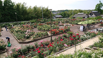 花の文化園(河内長野市)