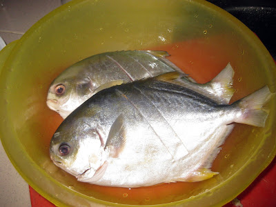 Ikan bawal emas - Tips Resep Cara Membuat
