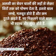 अलसी । Flaxseed