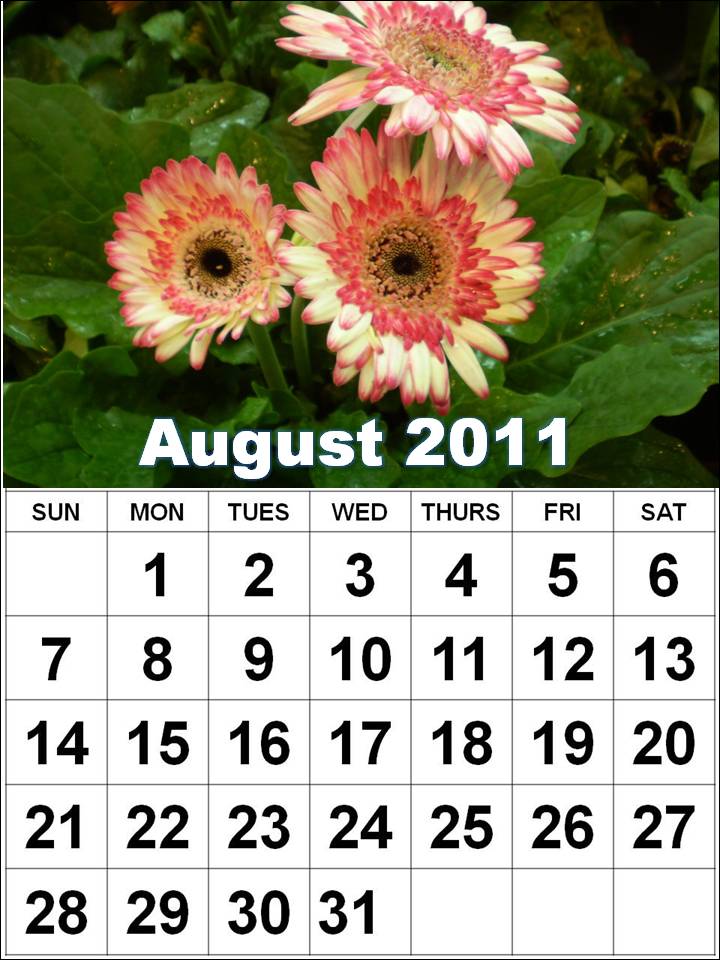 Free Printable Calendar 2011