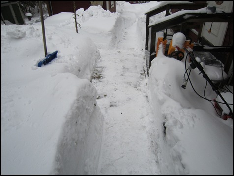 Vinter 2142