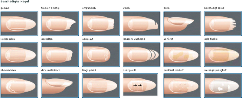 30 Nagelmotive zum Selbermachen mit Nagellack + Anleitung - Nageldesign Selber Machen Für Anfänger