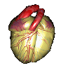 heart1