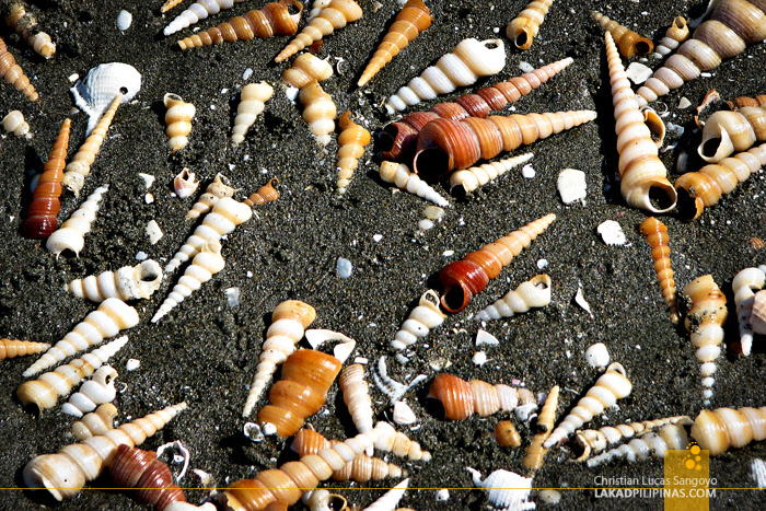 Dark Sand and Shells at Roxas City's Baybay Beach