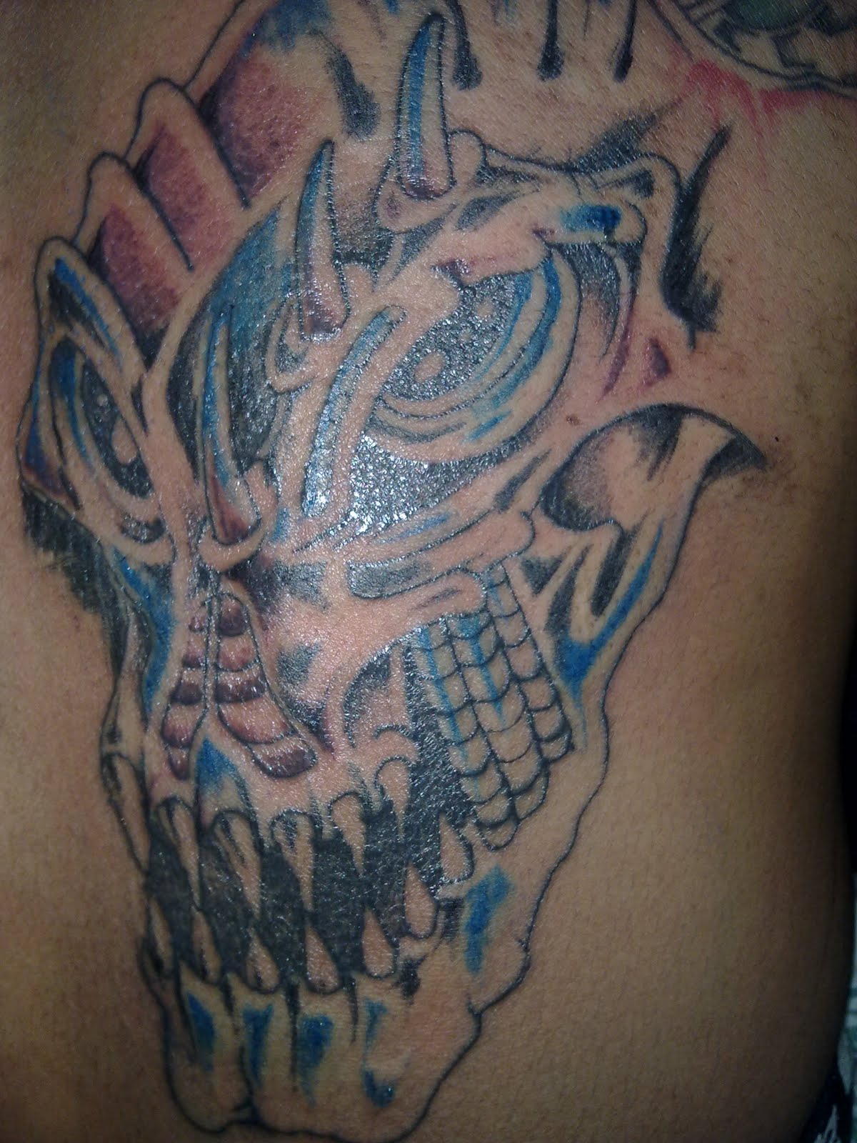  Gambar Tattoo  Bio